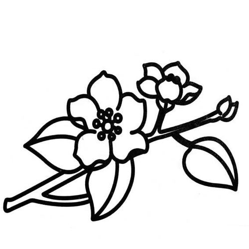 桃花画法简笔画 儿童画，桃花画法简笔画大全