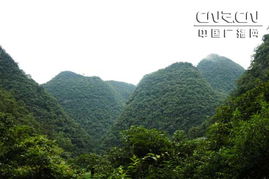 云南石林喀斯特地貌的特点，喀斯特地貌的特点及代表地形?