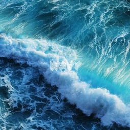 悲伤的心情沉重的脚步是什么歌,什么歌曲的歌词