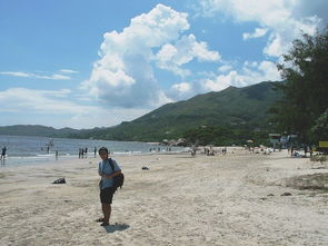 迷失海滩，迷幻海蛇