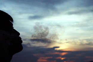 故乡人的诗句，故乡人物形象分析表格