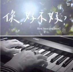 你好不好歌词完整版，你好不好歌词表达了什么含义