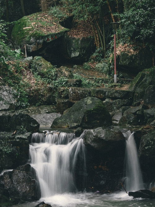 潦水的读音潦水的读音是什么