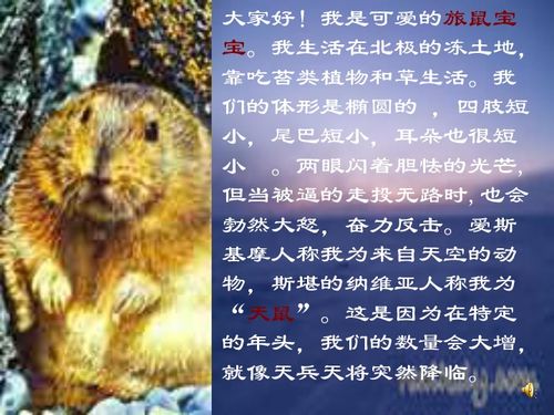 旅鼠之谜是几年级，旅鼠之谜阅读题及答案