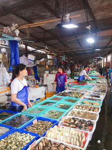 拱北口岸在珠海哪个火车站