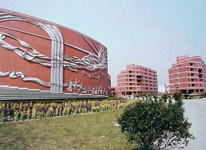 新中高级中学一本率，上海市新中高级中学