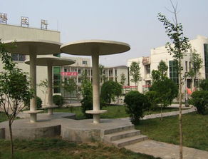 郸城一中班主任名单