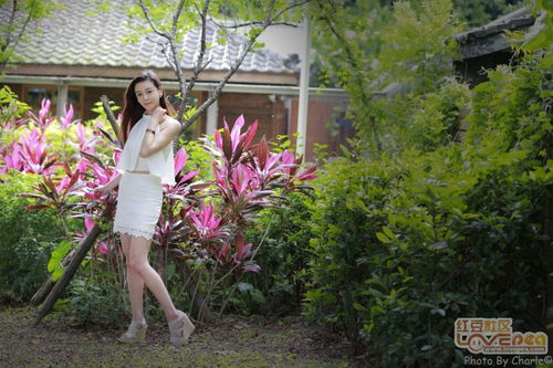 钻皮出羽反义词，钻皮出羽,揄扬升天