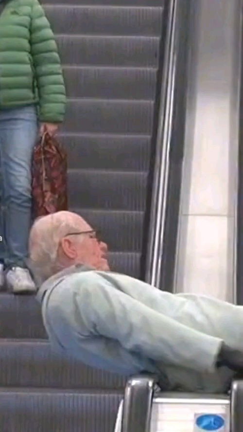 老当益壮,宁移白首之心;