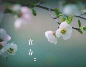 2023什么时候立春是几号，2024年什么时候立春是几号