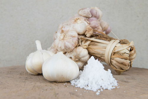 《卖蒜叟》原文翻译及赏析