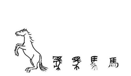 与汉字有关的小故事有哪些?