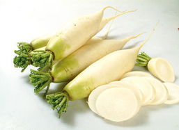 萝卜的读音是什么