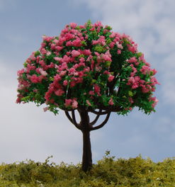 开花的树有哪些?