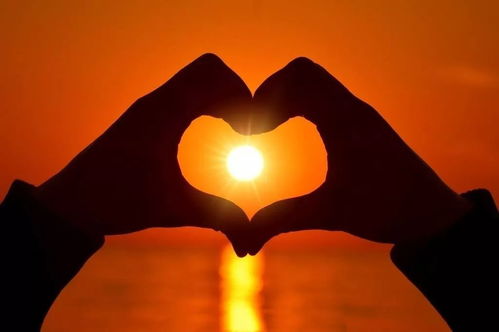 雷锋日记中有这么一段话:如果你是一滴水,