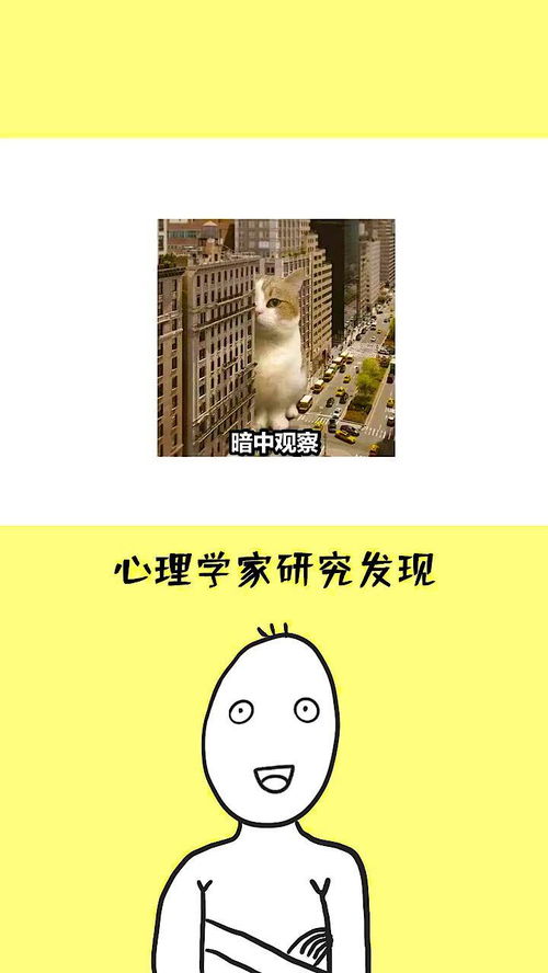 与众不同的我300字，与众不同的我300字三年级