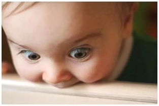 狼吞虎咽的拼音，狼吞虎咽类似的成语