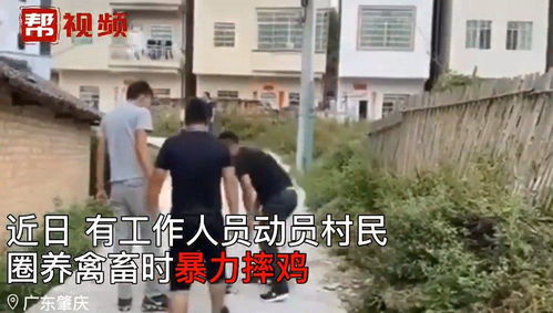 【过激】的意思是什么?【过激】是什么意思?