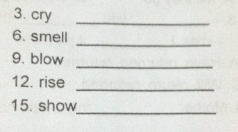 写的过去式的英文单词怎么拼