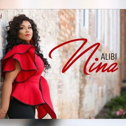 alibi什么意思，alibi位置编码