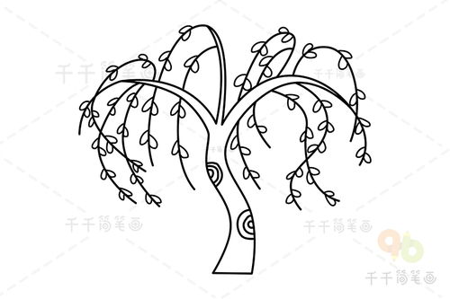 柳树简笔画10步完成