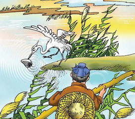 蚌相争渔翁得利的寓意是什么，什么蚌相争渔翁得利