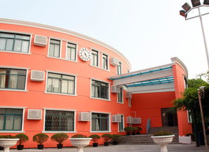 新和中学高中部怎么样