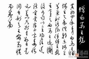 赠白马王彪并序原文及翻译，赠白马王彪原文及翻译注音