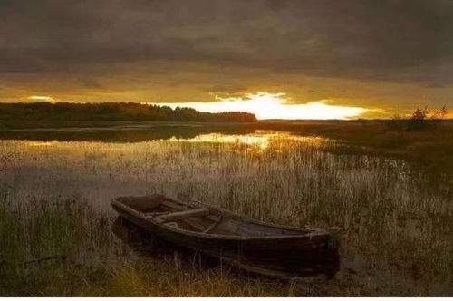 篙的意思解释是什么，篙的意思打一生肖