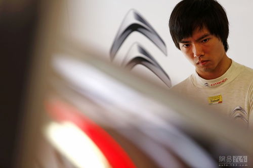 amassed是什么意思，illusory