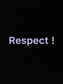 respect什么意思