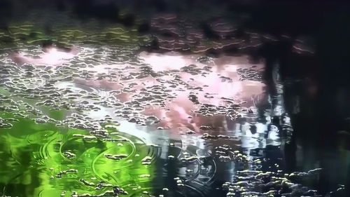 雨的声音怎么描写，雨的声音睡眠