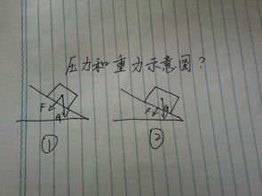 重力与压力的区别(产生原因,方向),联系。