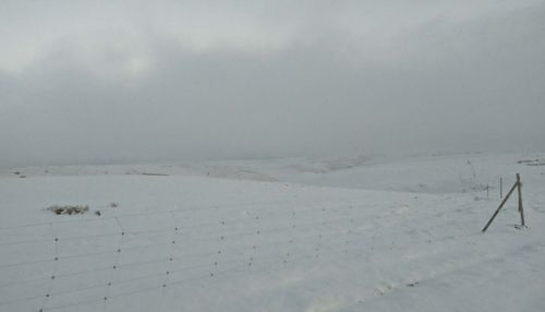 宽广造句，宽广的英文