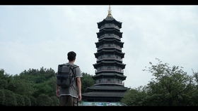 tenet翻译，忒ne唐山话什么意思