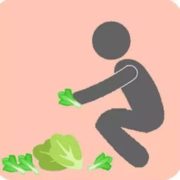 择菜的读音择菜的读音是什么