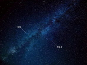 天各一方下一句怎么写，天各一方的意思?