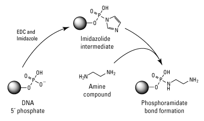 acid是什么意思，acid是什么品牌