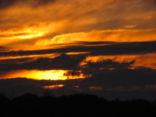 晚霞像什么仿写比喻句，红红的晚霞像什么