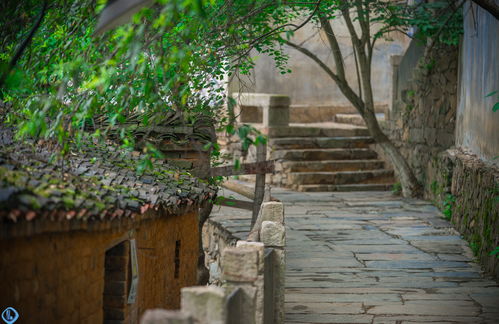 《小石潭记》中从小丘西行百二十步,隔篁竹,闻水声,如鸣佩环,心乐之赏析