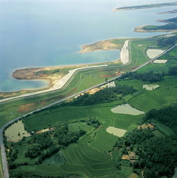 荆江评论:维护网信安全，荆江分洪工程