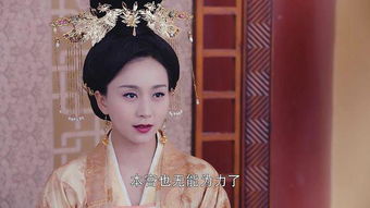 清朝皇帝的妻妾有那几个等级之分