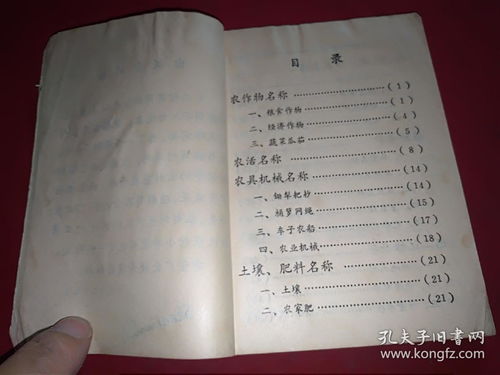 村可以组什么词