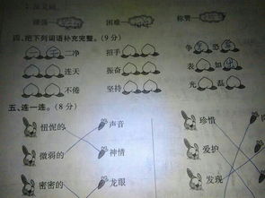洞的词语2个字，农事活动的词语