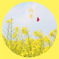 朝气蓬勃是什么意思解释(朝气蓬勃是什么意思?)