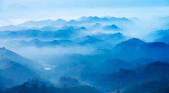 谁令骑马客京华全诗，年来薄似纱谁令骑马客京华