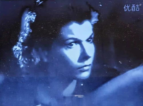 张鹏飞的人物事迹