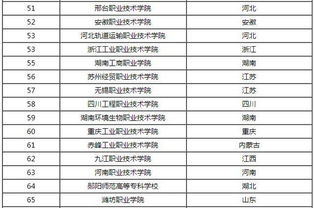 国内大专排名前十位的院校
