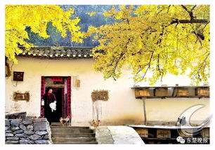 鸡犬相闻上一句，鸡犬相闻造句