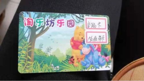 我的乐园300字作文免费，我的乐园300字优秀作文